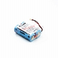 CR17450E-R CR17450E-R-2-CN10 CR17450E-R-6-CN6 lithium-ion battery