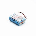 CR17450E-R CR17450E-R-2-CN10 CR17450E-R-6-CN6 lithium-ion battery