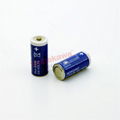 TL-5955 TL-4955 ER14335 Germany Sonnecell Lithium Battery Sonnenschein 3