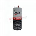 0840-0004 Cyclon EnerSys 霍克 西科龍 2V 12Ah 鉛酸蓄電池 1