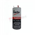 0840-0004 Cyclon EnerSys 霍克 西科龙 2V 12Ah 铅酸蓄电池 1