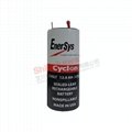 0840-0004 Cyclon EnerSys 霍克 西科龙 2V 12Ah 铅酸蓄电池 3
