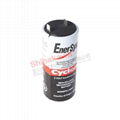 0850-0004 Cyclon EnerSys 霍克 西科龙 2V 8.0Ah 铅酸蓄电池 2