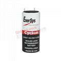 0850-0004 Cyclon EnerSys 霍克 西科龙 2V 8.0Ah 铅酸蓄电池 3