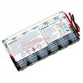 0860-0109 Cyclon EnerSys West Colon 12V 4.5Ah Heidelberg Printer Battery