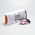 KR4DH-4S RG02961 4.8V 4000mAh G1104S 三洋SANYO Cadnica 电池 2