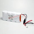 KR4DH-4S RG02961 4.8V 4000mAh G1104S 三洋SANYO Cadnica 電池 3