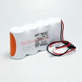 KR4DH-4S RG02961 4.8V 4000mAh G1104S 三洋SANYO Cadnica 電池 12