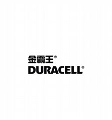 Duracell Battery