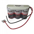 0810-1033 0810-0103 0810-0102 6V-2.5Ah Cyclon EnerSys Lead-acid Battery 7