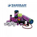 TL-2186 TL-2186/P ER22G75 ER22G68 Tadiran button lithium battery