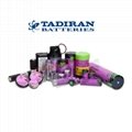 TLH-2450 TLH-2450P Tadiran button lithium battery TPMS battery