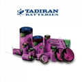 TLH-2450 TLH-2450P Tadiran button lithium battery TPMS battery 20