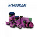 TLH-5920 C ER26500S 塔迪兰Tadiran 高温 锂电池 可加工 连接器/焊脚