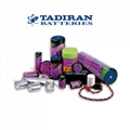 TLH-5934 TLH-5934/P 1/10D ER32L65 Tadiran high temperature lithium battery