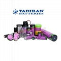 TLH-5934 TLH-5934/P 1/10D ER32L65 Tadiran high temperature lithium battery