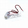 KCA-M53G0-02 KCA-M53G0-11 KCA-M53G0-01 YAMAHA lithium battery 13