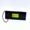 10KF-A1200 G2-0443 SANYO Cadnica Sanyo Battery Pack 3
