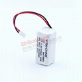 Teknoware XWT9001/EA051 W120011 85073080 4.8V 550mAh battery pack 5