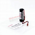 410076-0220 410076-0250 Japanese Denso Robot PLC Lithium Battery