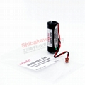410076-0220 410076-0250 Japanese Denso Robot PLC Lithium Battery 10