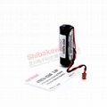 410076-0260 410076-0090 Japanese Denso Robot PLC Lithium Battery 6