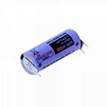 CR-AGZ CR-AGZC22N CR-AGZE2N Panasonic Battery