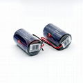 SB-D02 Tekcell ER34615 ER33600 D 3.6V 19Ah lithium battery