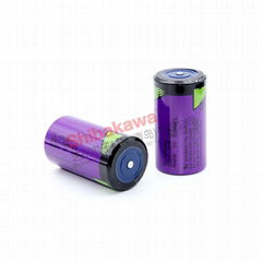 TL-4930 ER34615 D 塔迪蘭TADIRAN 鋰電池 可加工 連接器/焊腳