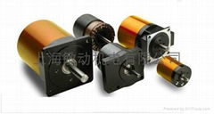 Coreless motor /BLDC Motor /Ironless