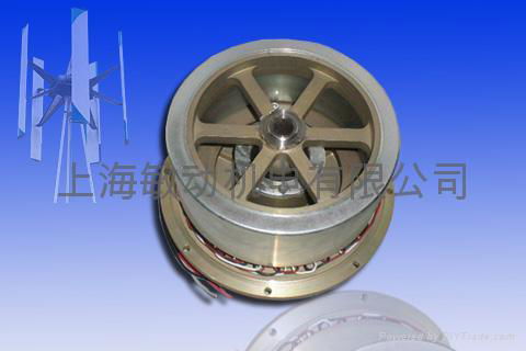 1000W Wind Mill Generator