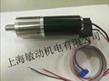 Brush motor with hollow cup