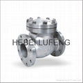 Swing Check Valve