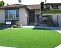 artificial grass  3