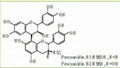 Grape seed extract 2