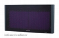 IR Wireless Interpretation System (TC-904) 4