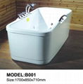 Massage Bathtub Series  2