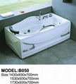 Massage Bathtub Series