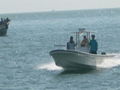 Panga 30 fishing boat 4