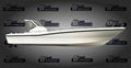 Fiberglass Passenger Fishing Boat FB1030 1