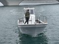 Bestyear Inboard Engine Panga 31 Fishing Boat