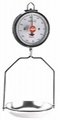 Mechanical Hanging scale
