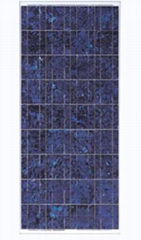 85W--100W poly crystalline PV modules