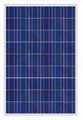 160W--180W poly crystalline solar modules