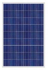 160W--180W poly crystalline solar modules