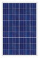 230W---280W poly crystalline solar