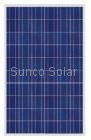 230W poly crystalline solar module