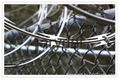 Razor Barbed Wire Fence 