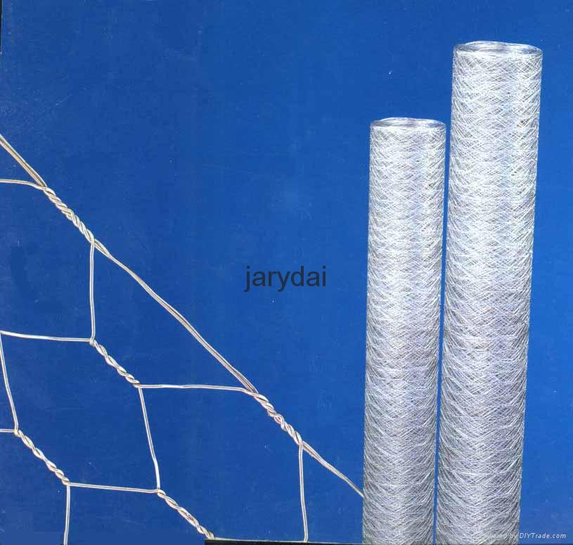 Hexagonal Wire Netting