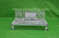 Wire Mesh Container 3